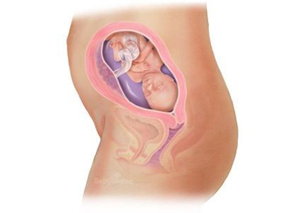 sự phát triển của thai nhi tuần 21