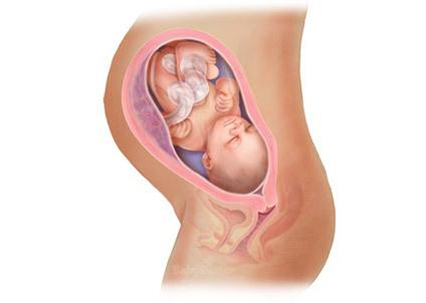 sự phát triển của thai nhi tuần 32
