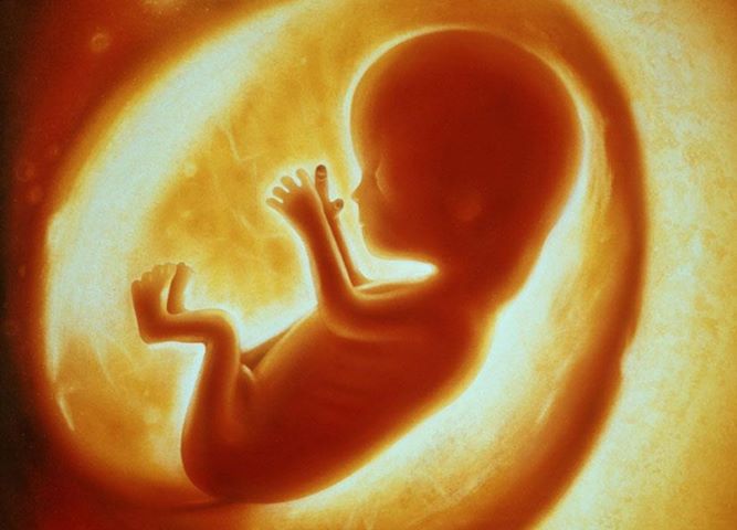 Năng lực phát triển kỳ diệu của thai nhi và của trẻ sơ sinh