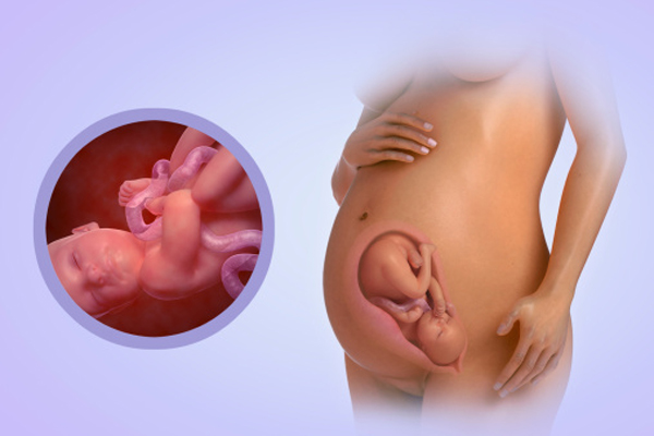 Mẹ bầu mang thai tuần thứ 33 và sự phát triển của thai nhi
