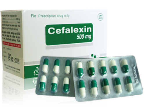 Thuốc Cephalexin 500mg