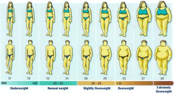 chỉ số BMI cơ thể 5